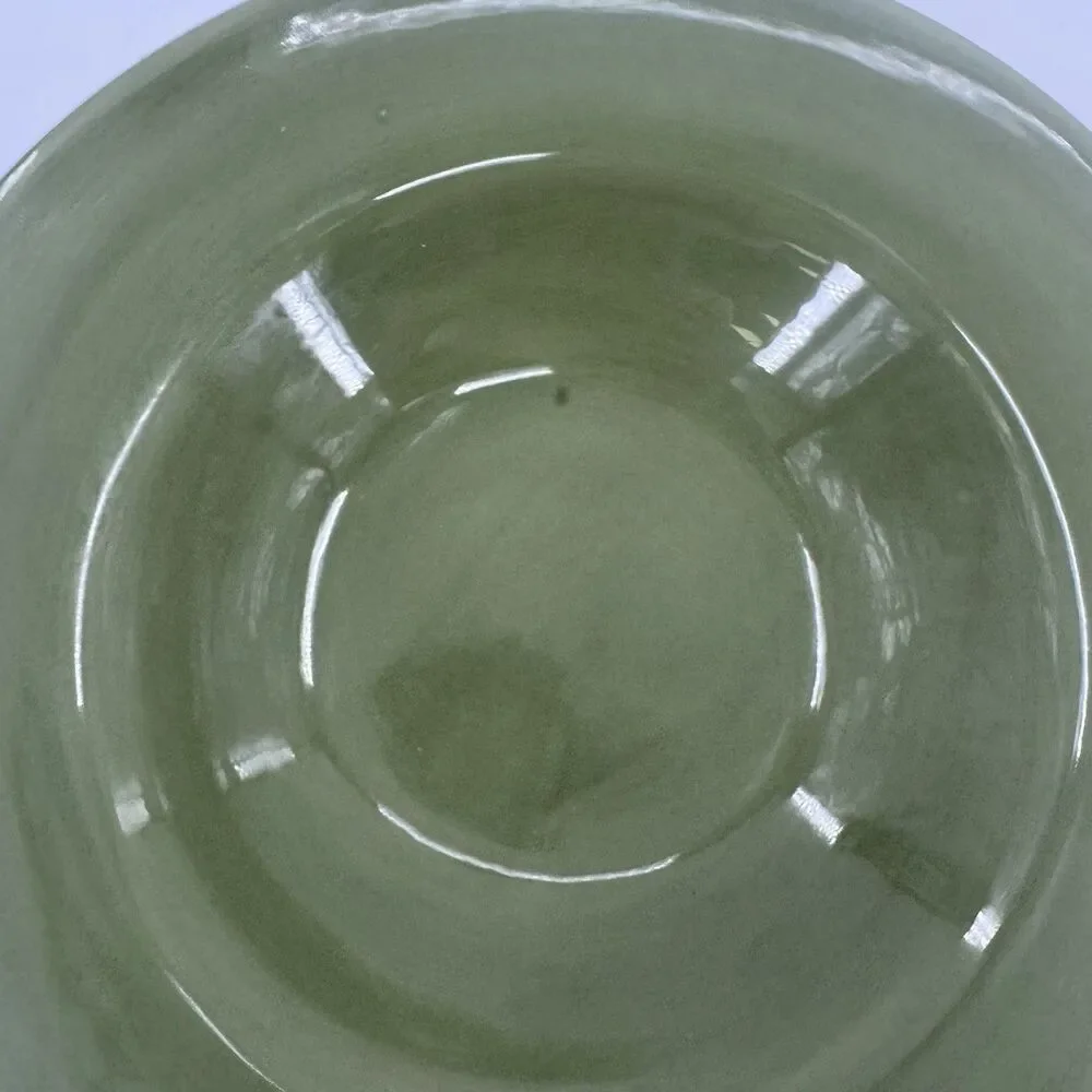 2 Pottery Barn SAUSALITO Green Wide Rimmed Bowl 10 Inch Soup Pasta Fast Shipping